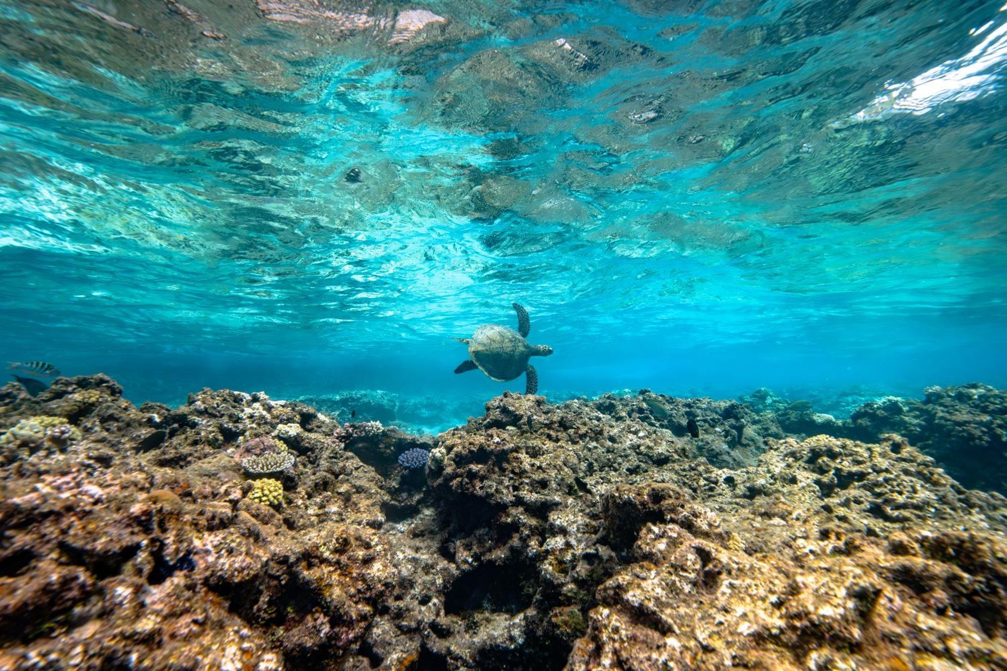 Intercontinental Lifou Wadra Bay Resort Akaouane Esterno foto