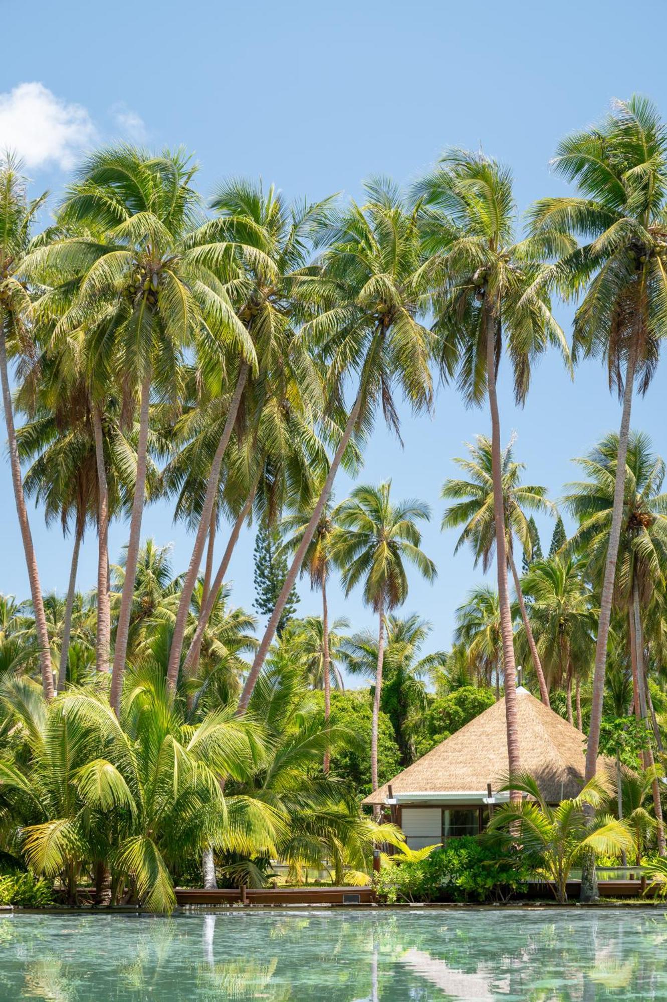 Intercontinental Lifou Wadra Bay Resort Akaouane Esterno foto